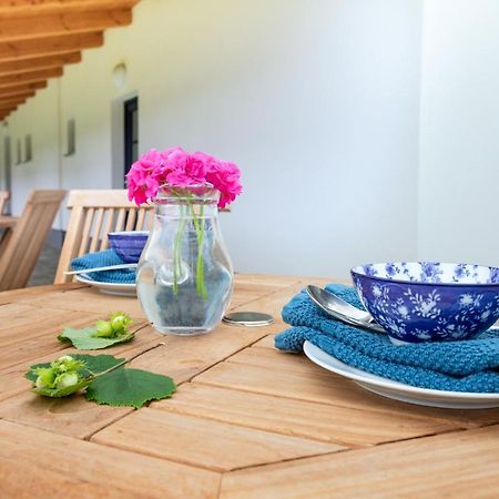 Apartmány Jedovary Trhové Sviny Exterior foto
